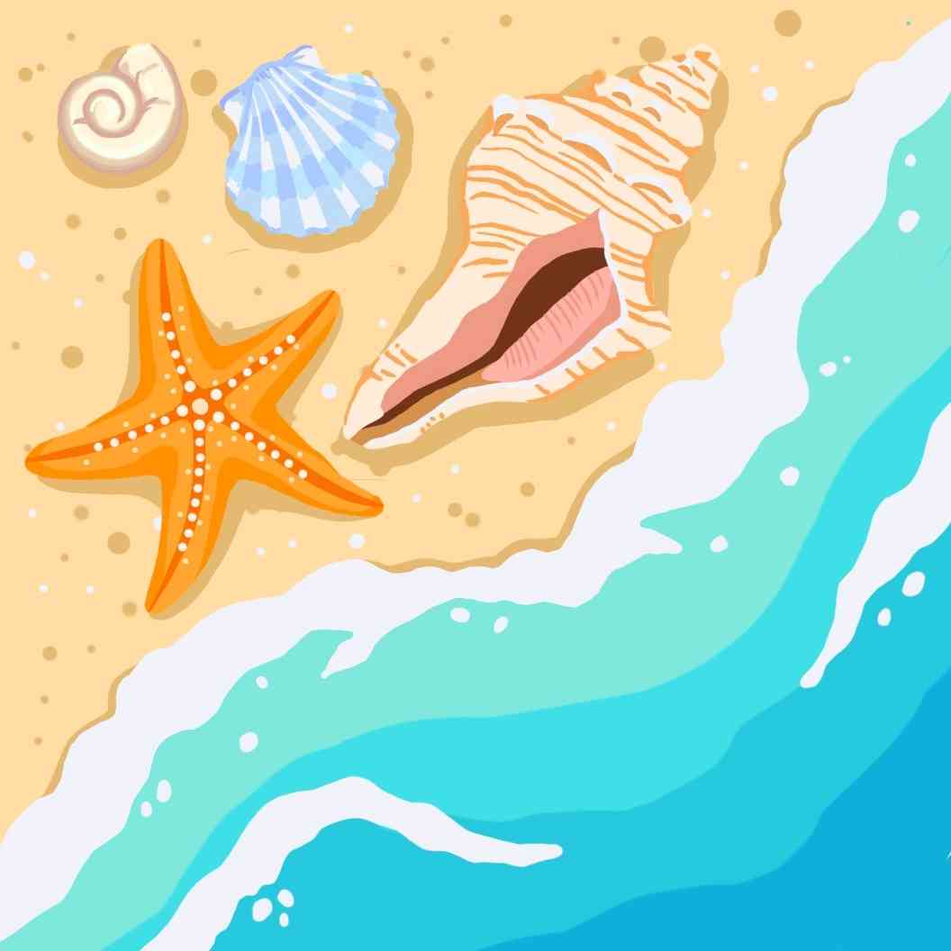 Summer beach1