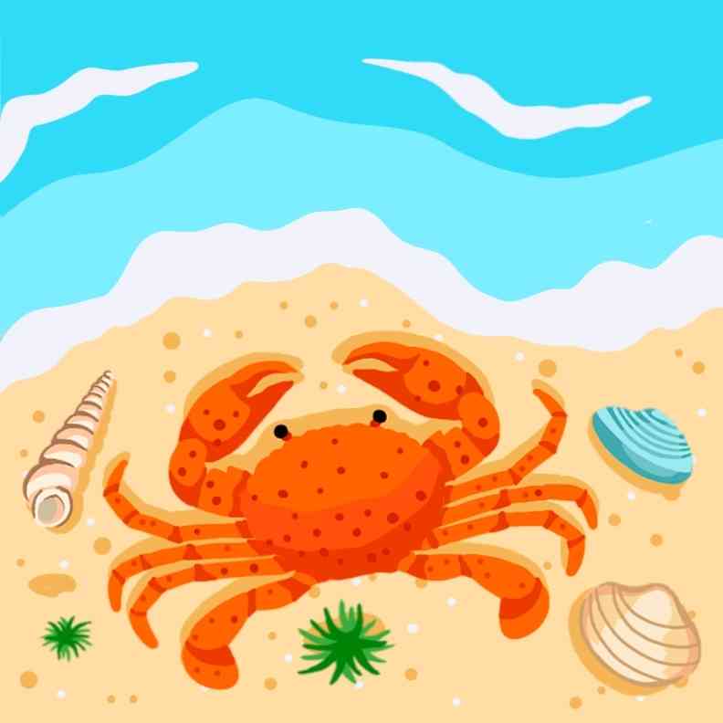 Summer beach2