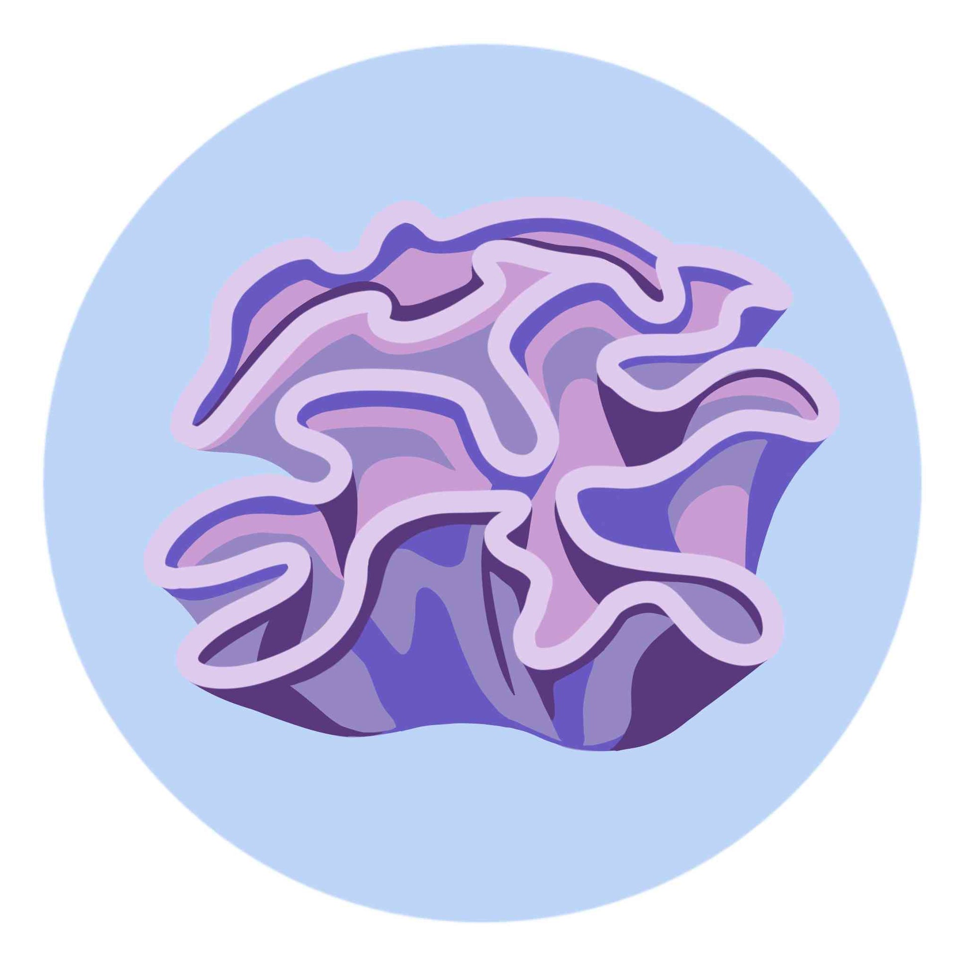 Purple Corals