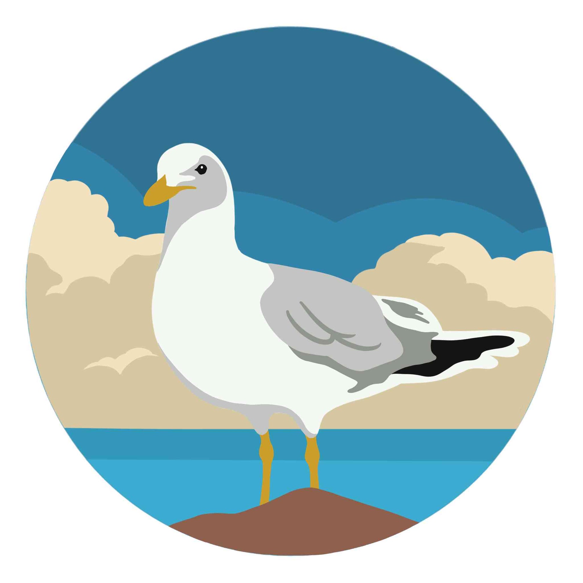 Resting Seagull
