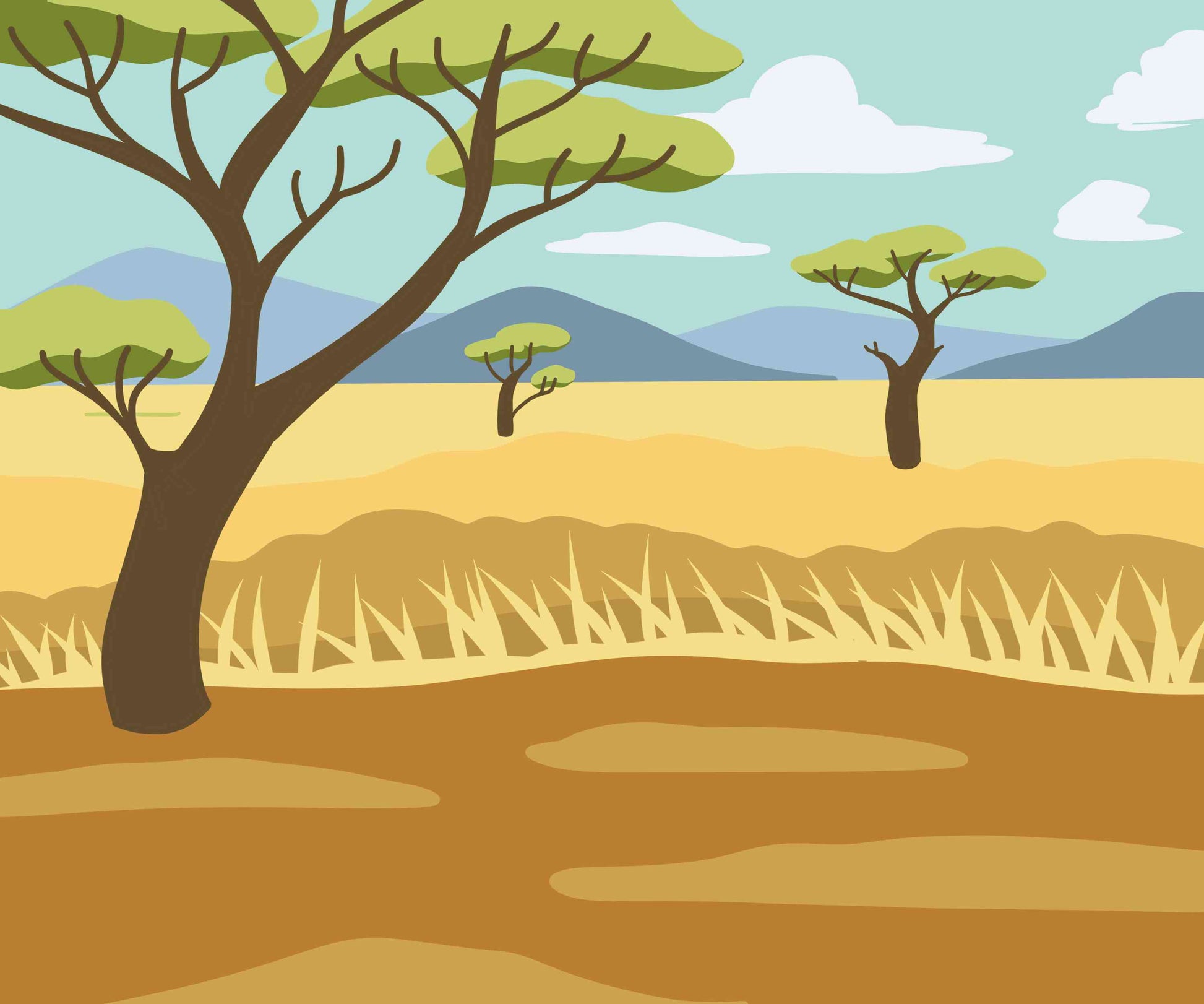 Safari Life