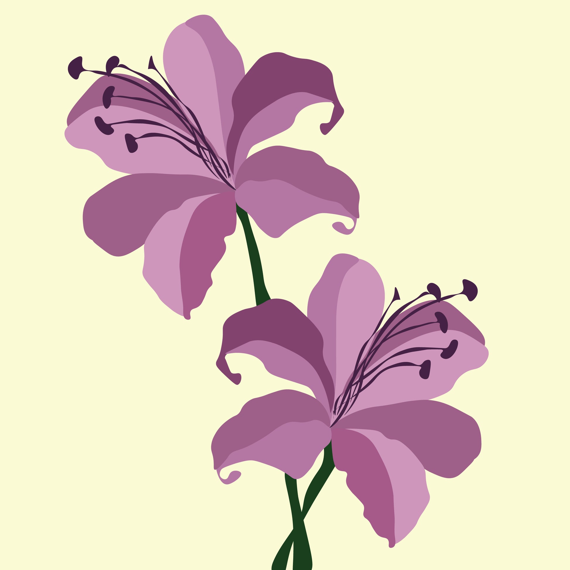 Cute Flowers