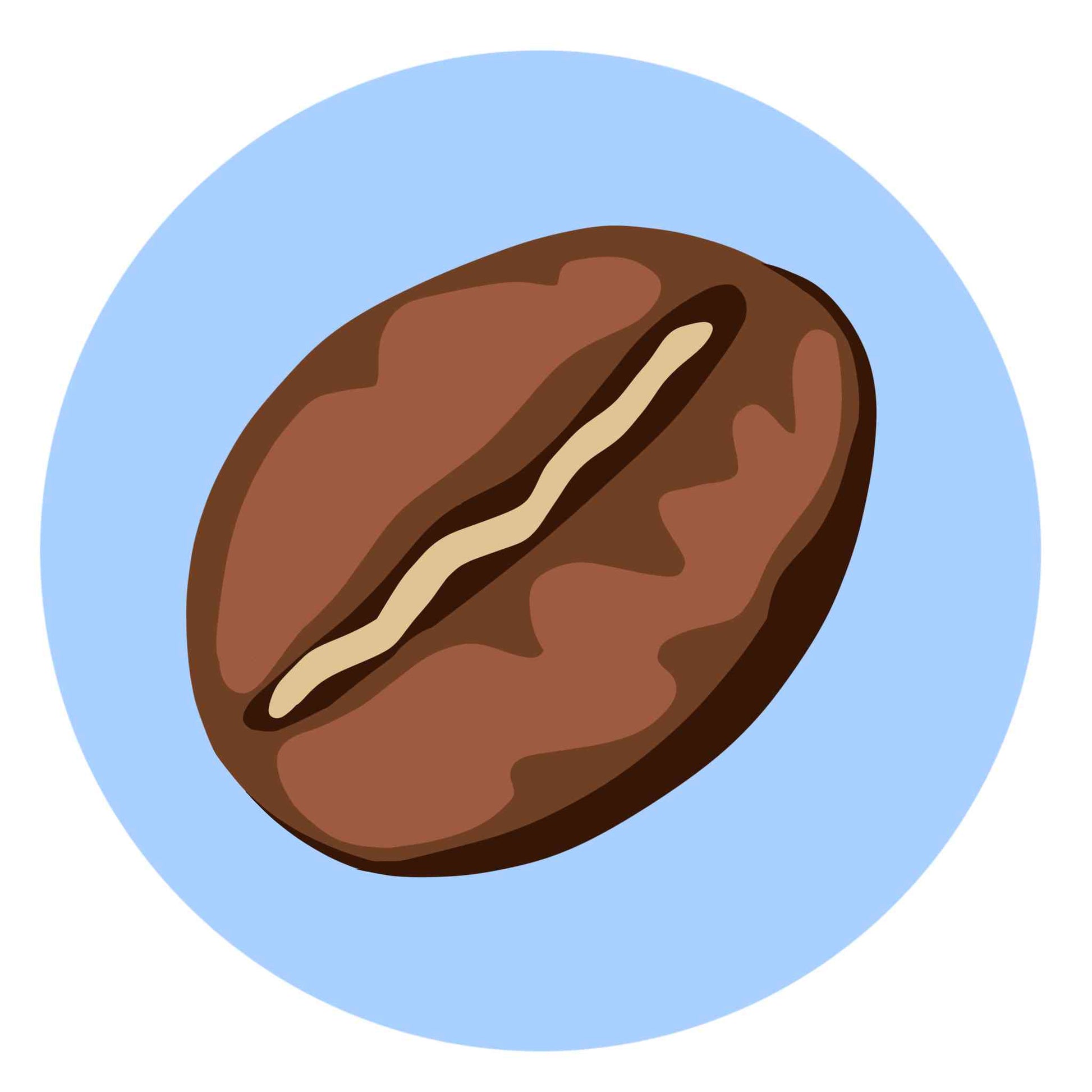Coffee Bean