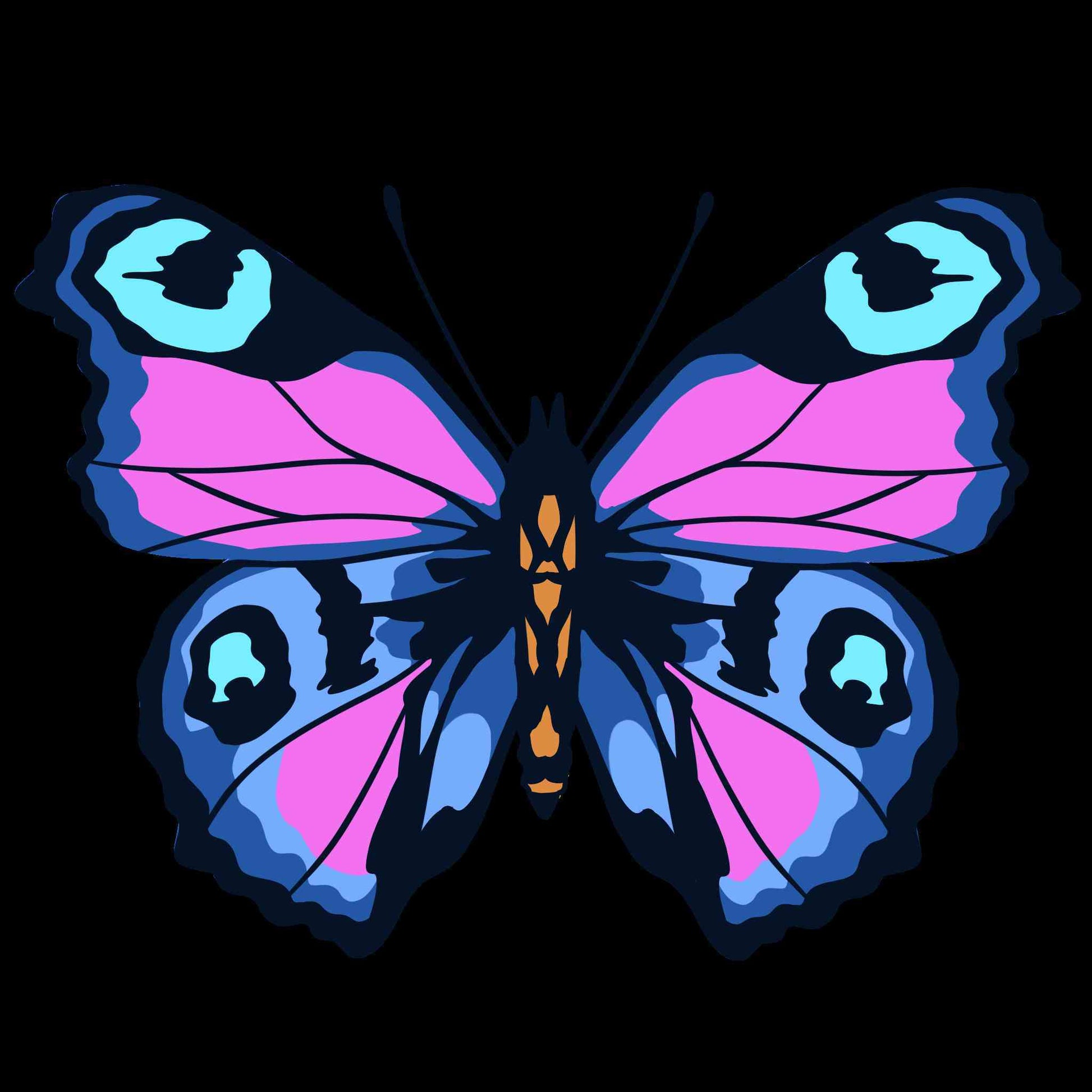 Vibrant Butterfly
