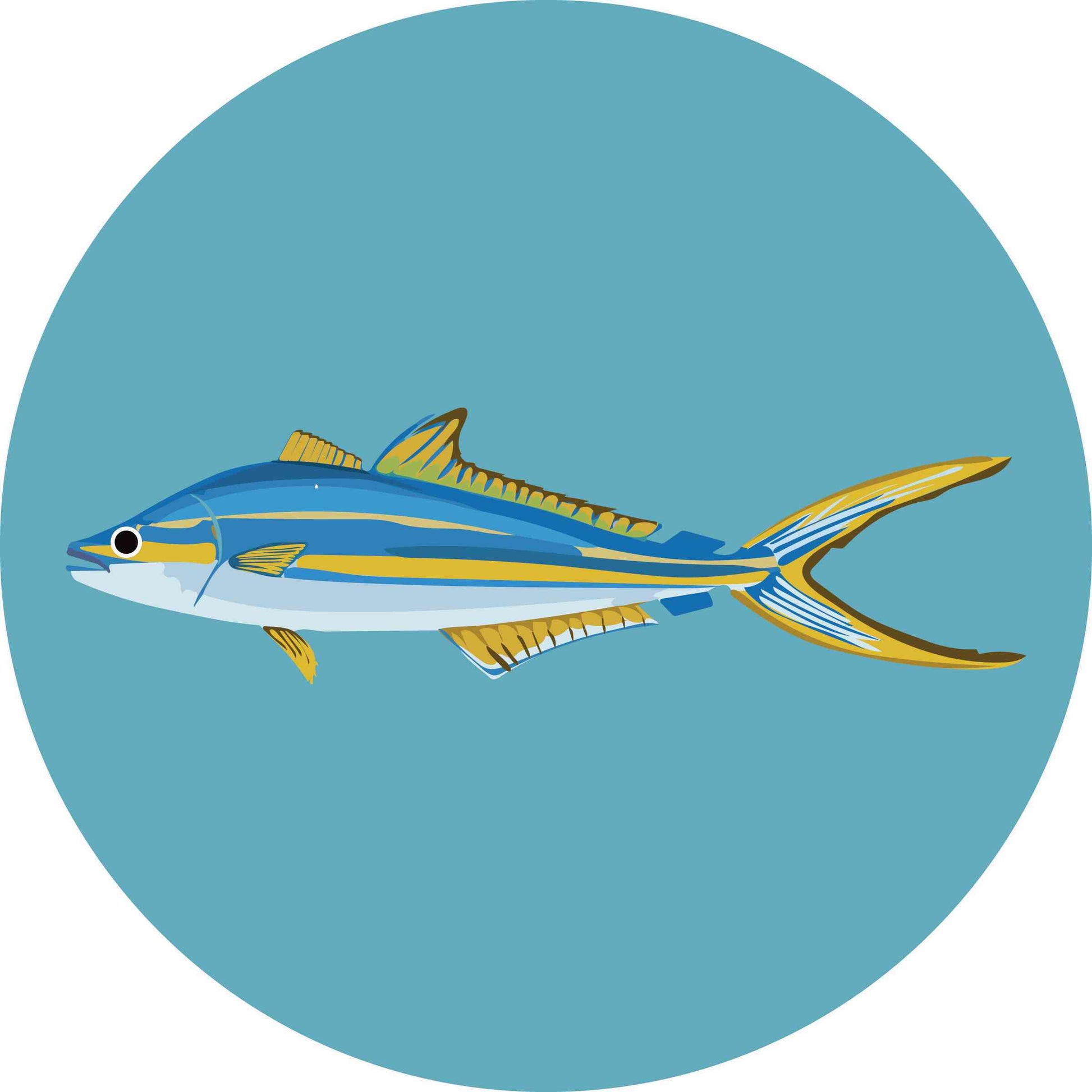 Rainbow Runner