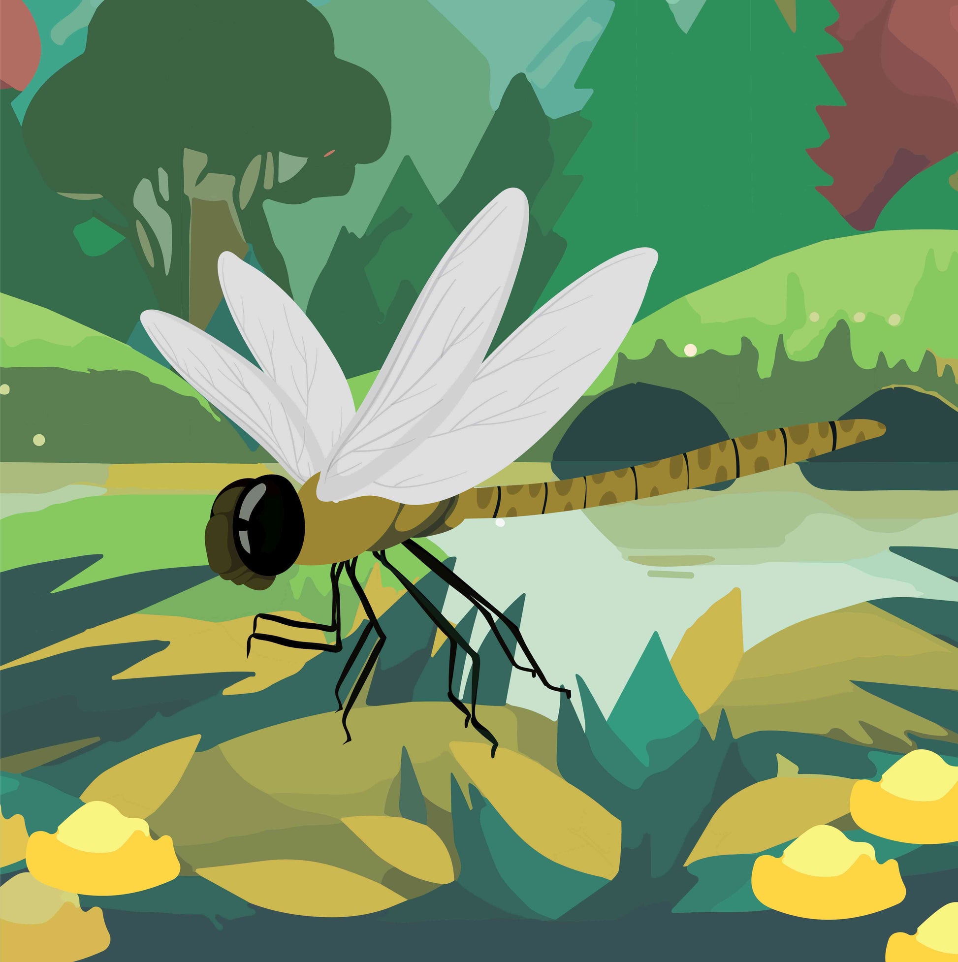 The Dragonfly Flies