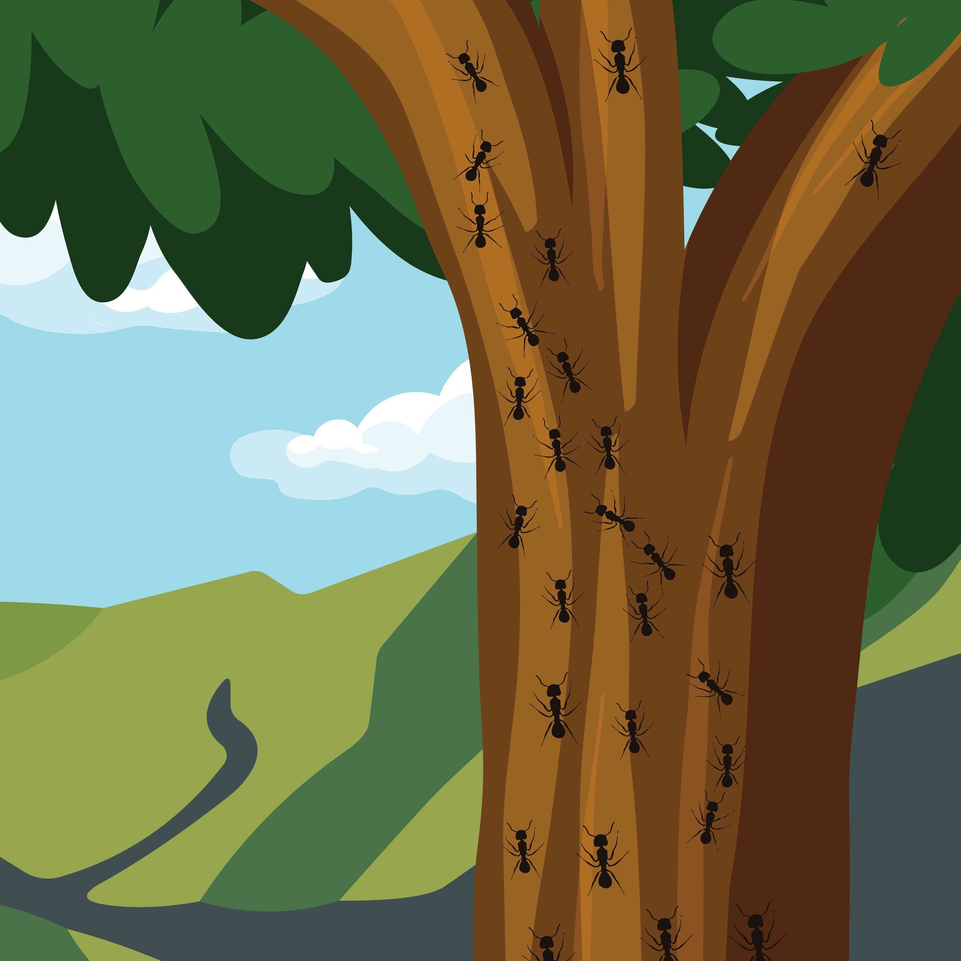 Ant on the Tree