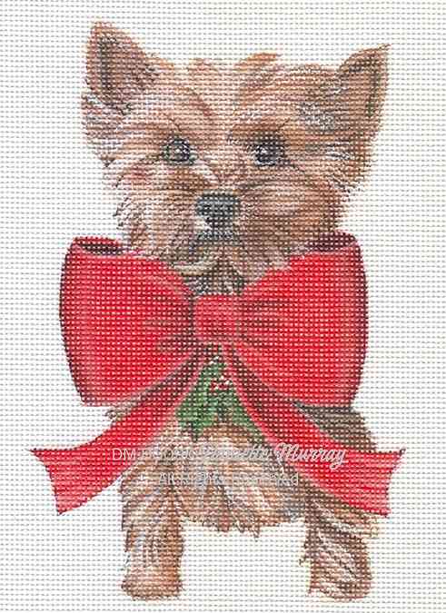 Yorkie Stand up