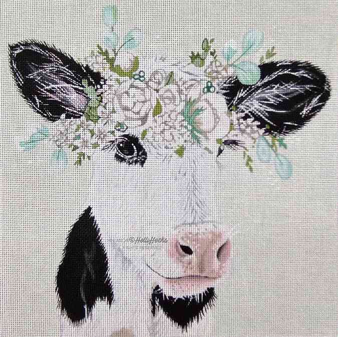 Patience the Calf
