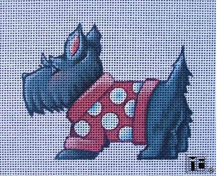 Scottie in a Sweater