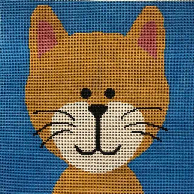 Kitten