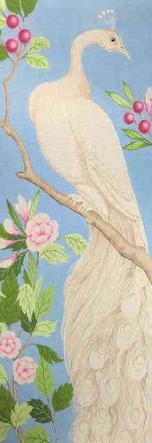 White Peacock