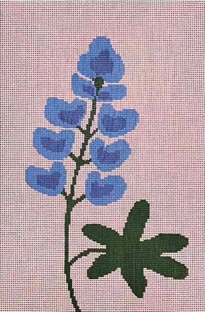 Blue Bonnett