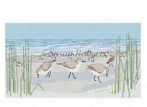 Sanderlings