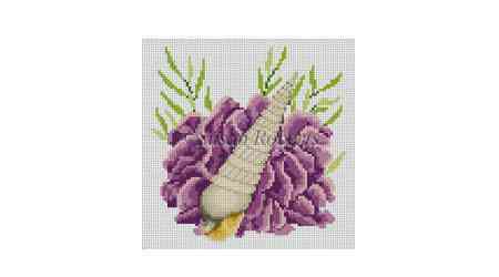 Seashell, Auger