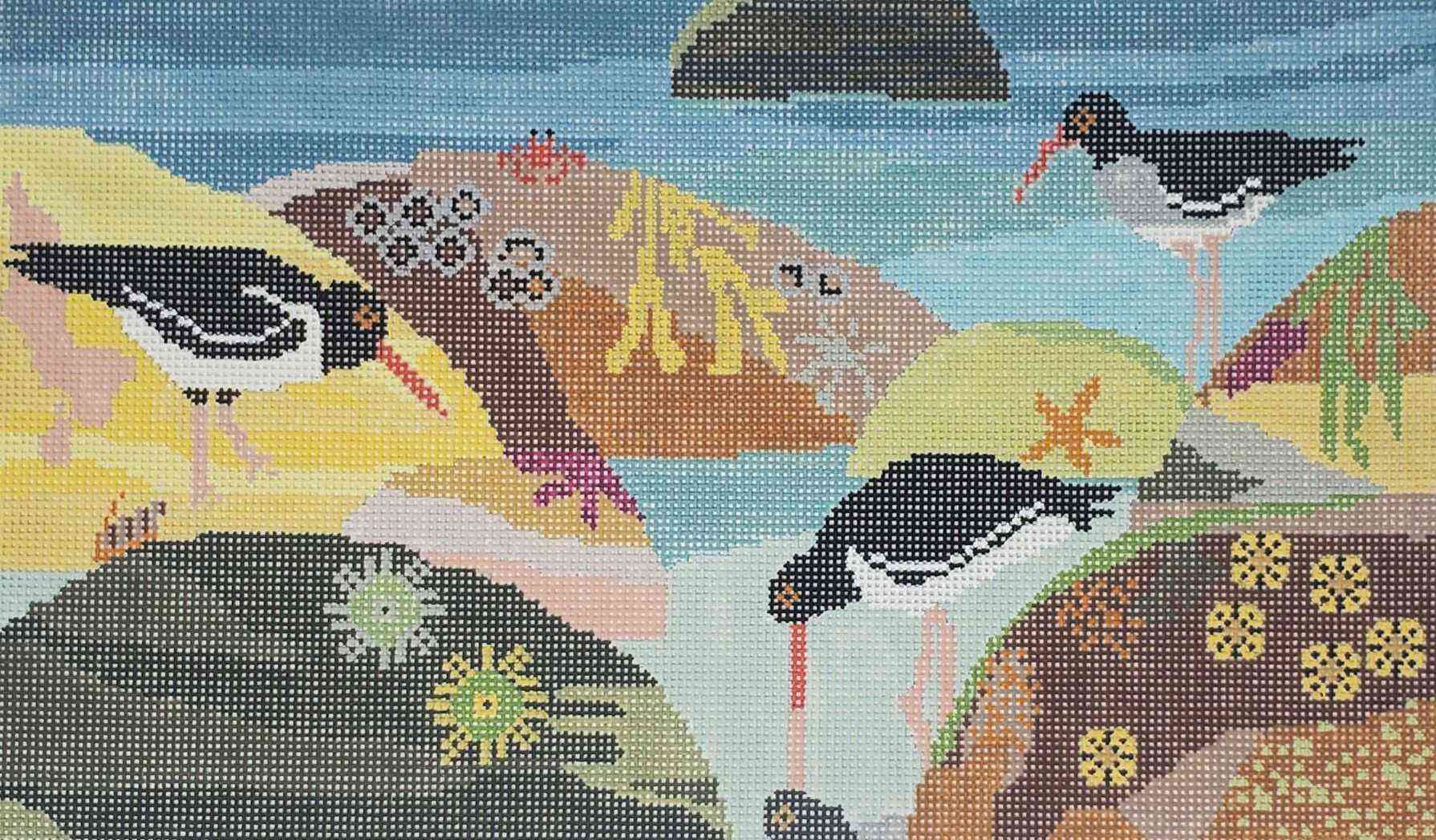 Oyster Catcher