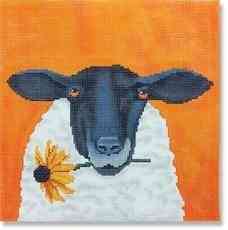Sheep with Daisy
