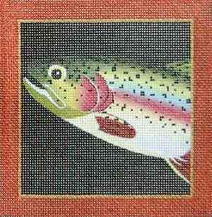 Sport Fish - Rainbow Trout