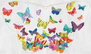 Butterfly Shaped Pillow
