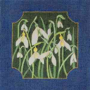 Snowdrop