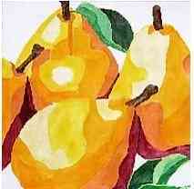 Farmer's Market - Yellow Pears