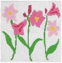 Lovely Lilies - Pink