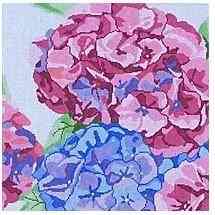 Gloriosa Hydrangea
