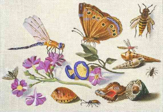 Dragonfly & Shells