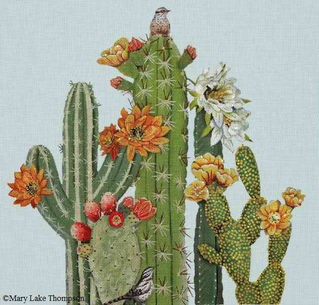 Cactus & Bird
