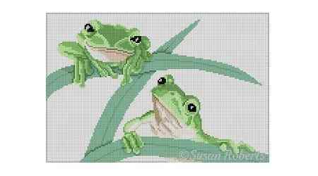Frogs Hangin'