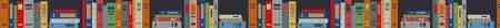 Belt - Books on a Shelf